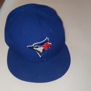 Blue jay hat